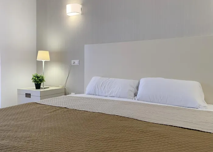 Cc8 By Zanis Torrevieja